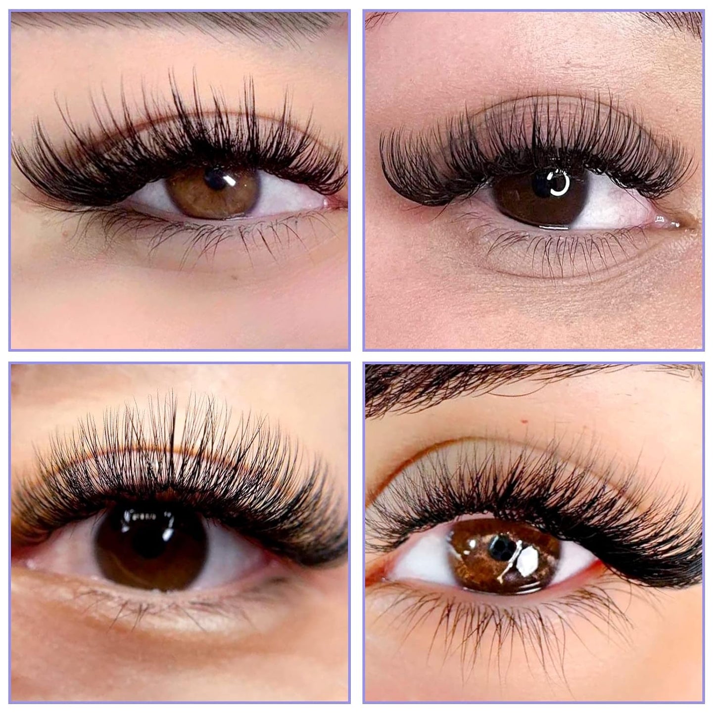 WEWNDY LASHES Rapid Blooming Eyelash Extensions - Volume Lashes 0.05 Thickness, C/D Curl, Easy Fan, 8-14mm Mixed, Self Fanning