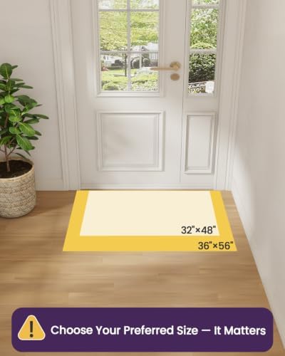 DEXI Thin Door Mat Indoor Entrance 36x56, Non Slip Entryway Mat - Image 3