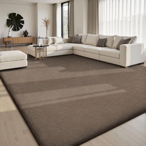 Sour Lemon 8x10 Area Rugs for Living Room Bedroom, Large Carpet Rug by SourLemon