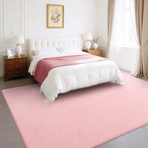 BENRON Soft Rugs for Living Room 4x6 Pink, Minimalist Area Rug for Bedroom - Image 2