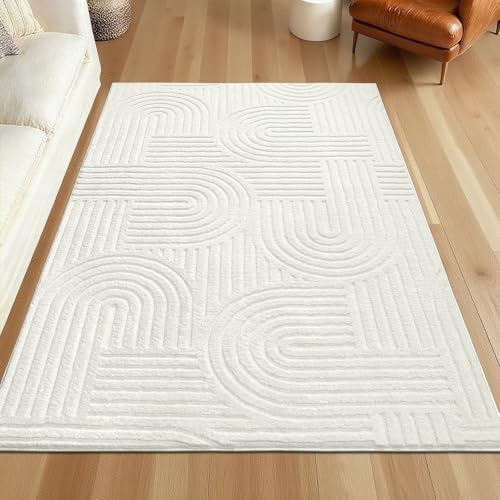 SHACOS Soft Cozy Fluffy Arch Pattern High-Low Pile Area Rugs 6'x9' Large Non by SHACOS