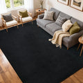5x7 Pure Black Area Rug Non-Slip Washable Soft Thin by FinRe%CC%80cHome