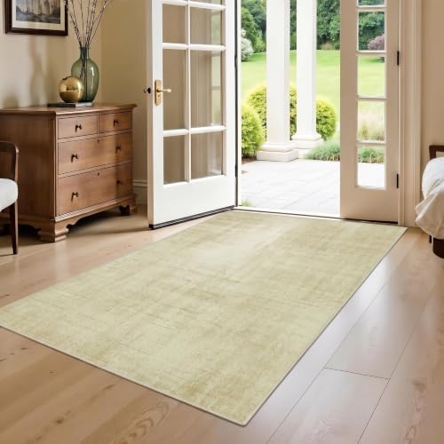 Joydeco 3x5 Area Rugs for Living Room Classic - Image 6