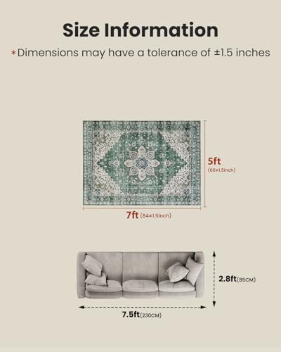 Amada 5x7 Washable Area Rug for Living Room, Dark/Green - Image 2