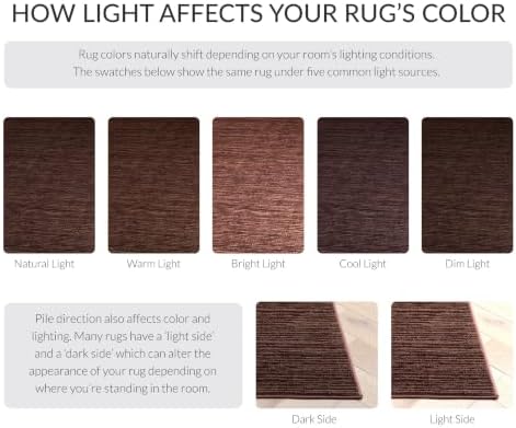 SAFAVIEH Vision Area Rug 9x12 Large, Modern Tonal Brown VSN606E - Image 4