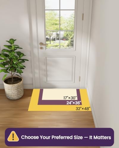 DEXI Ultra Thin Indoor Door Mat 24x36, Entrance Doormats - Image 3
