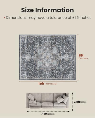 Amada 8x10 Washable Area Rug for Living Room, Vintage Pattern - Image 2
