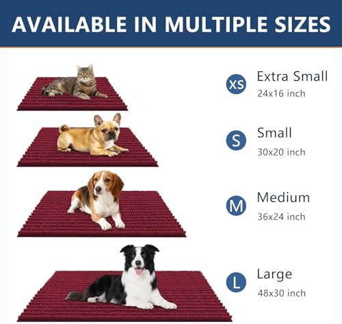 Smiry Dog Door Mat for Muddy Paws 24x16, Absorbs Moisture and Dirt Doormat - Image 3