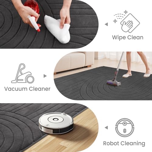 Sour Lemon 6x9 Area Rugs for Living Room Bedroom, Large Carpet Grey Rug - Image 3