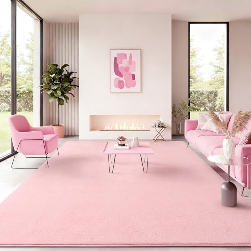 BENRON Soft Rugs for Living Room 4x6 Pink, Minimalist Area Rug for Bedroom by BBENRON