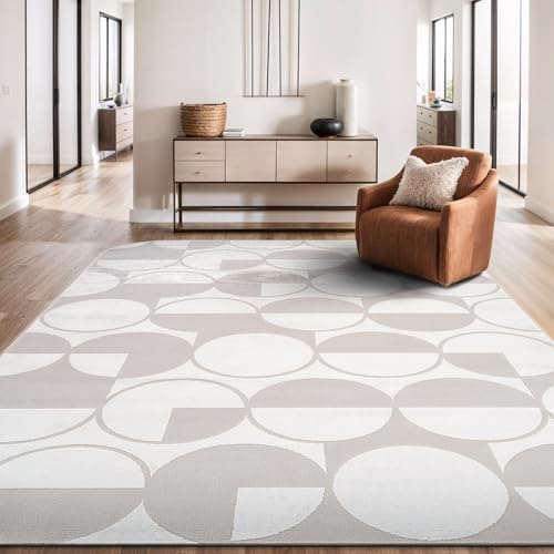 Living Room Area Rug 8x10 Modern Luxury Ultra Soft Vintage Indoor Area Rugs - Image 6