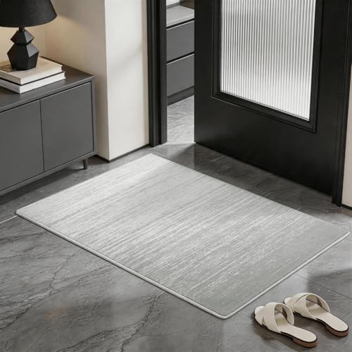 LIANLAM 2x3 Silver Infused Self-Cleaning Rug by LIANLAM