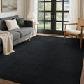 4x6 Pure Black Area Rug Non-Slip Washable Soft Thin by FinRe%CC%80cHome
