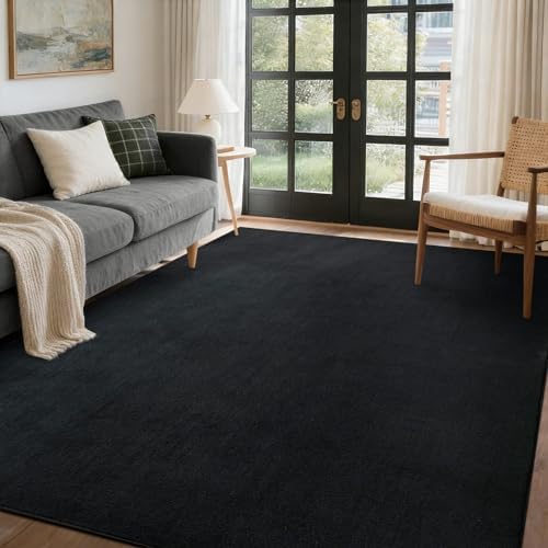 4x6 Pure Black Area Rug Non-Slip Washable Soft Thin by FinRe%CC%80cHome