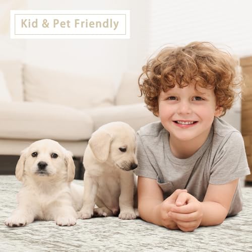 Small Washable Rugs 4x6 Area Rugs - Image 6