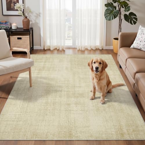 Joydeco 3x5 Area Rugs for Living Room Classic - Image 2