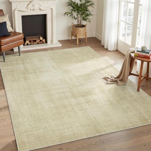 Joydeco 6x9 Area Rugs Classic for Living Room by JOYDECO