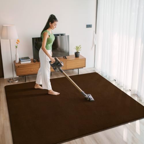 Chicrug 4x6 Minimalist Washable Soft Area Rugs - Image 6