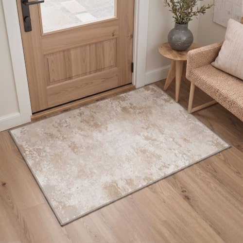 BEIMO 2x3 Area Rugs for Entryway by BEIMO