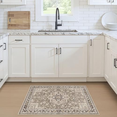 cotiled 2x3 Area Rug for Living Room, Traditional - Image 2