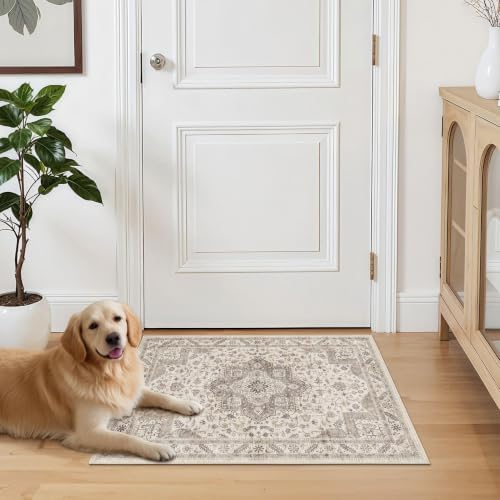 cotiled 2x3 Area Rug for Living Room, Traditional, Light Brown - Image 6