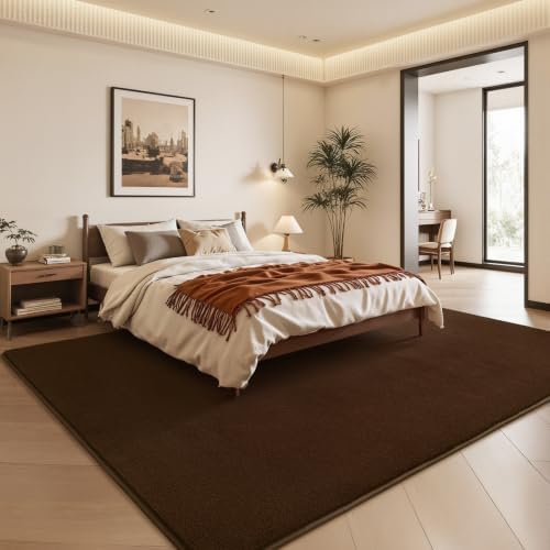 Chicrug 4x6 Minimalist Washable Soft Area Rugs - Image 3