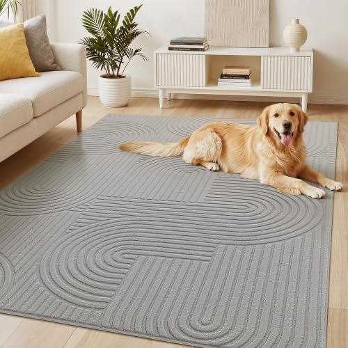 Soalmost 6x9 Washable Area Rug by Soalmost