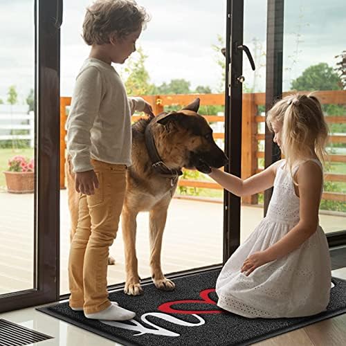 Door Mat Welcome Mat Floor Mat for Entryway, High Traffic Areas - Image 6