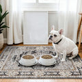 3x4 Washable Entryway Area Rug by Puino