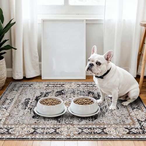 3x4 Washable Entryway Area Rug by Puino