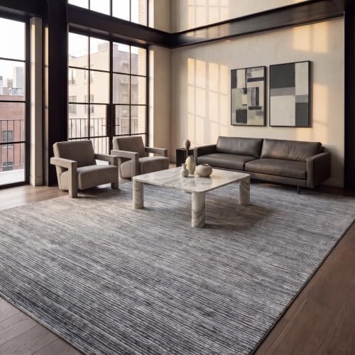 SAFAVIEH Vision Area Rug 11x15, X-Large Grey VSN606D by Unknown