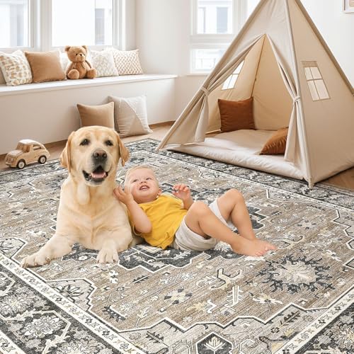 cotiled 9x12 Area Rug for Living Room, Traditional - Image 3