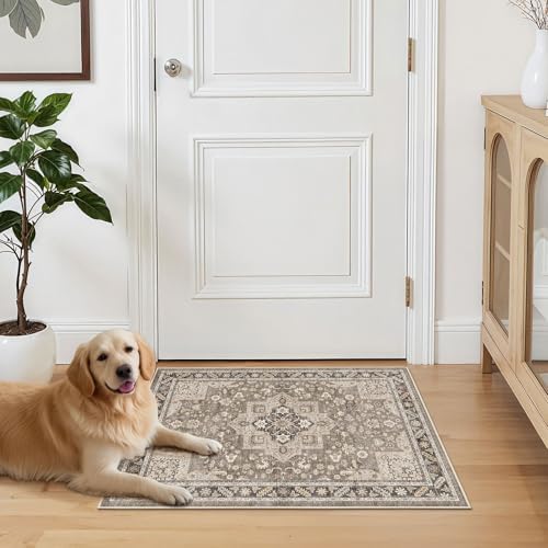 cotiled 2x3 Area Rug for Living Room, Traditional - Image 7