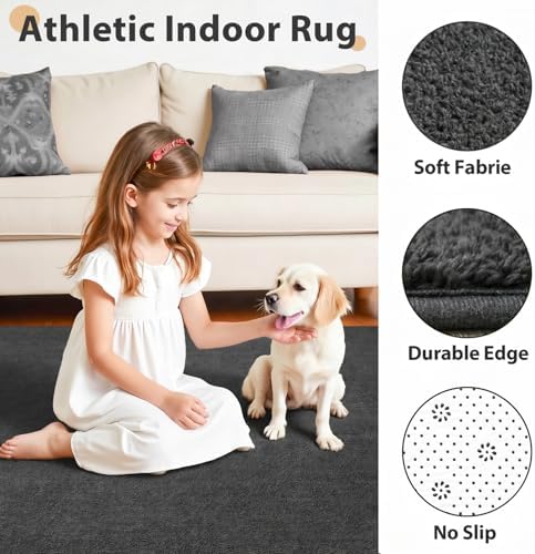 Chicrug 4x6 Minimalist Washable Soft Area Rugs - Image 6