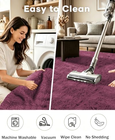Smiry Area Rugs for Living Room Bedroom 2x3 ft, Fluffy Washable Carpet - Image 4