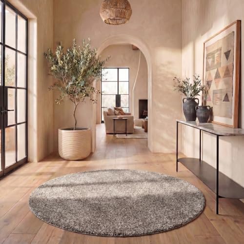 SAFAVIEH Milan Shag Collection 5'1" x 5'1" Round Grey SG180 Solid Non-Shedding by Unknown