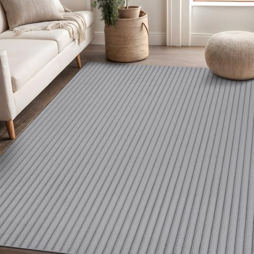 Fluffy Area Rug 4 x 6 Modern Durable Ultra Soft Plush Ribbed Indoor Rugs - Image 4