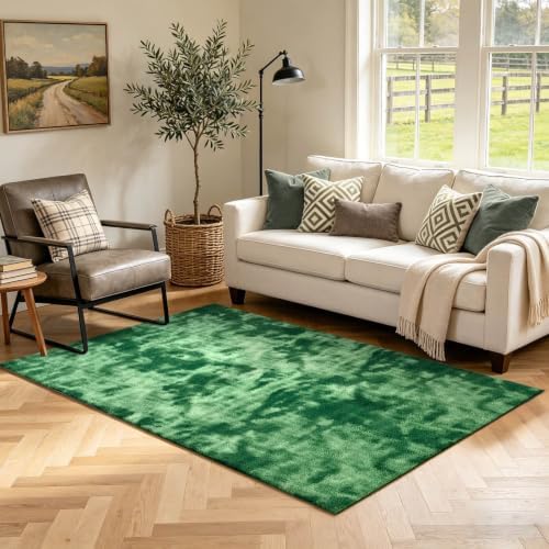 3x5 Tie-dye Green Area Rug Washable Non-Slip Soft Thin by Unknown