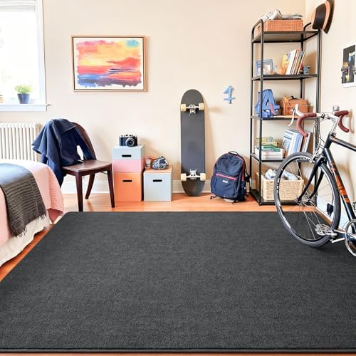 Chicrug 4x6 Minimalist Washable Soft Area Rugs - Image 5