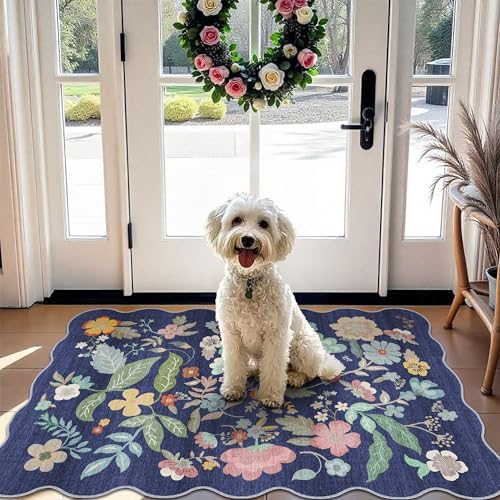 Washable 2x3 Area Rug for Entryway: Easy-Clean Carpet by HYHAOYUNLAI