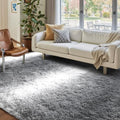 FinRèc Home 4x6 Non-Slip Fluffy Area Rugs by FinRe%CC%80cHome
