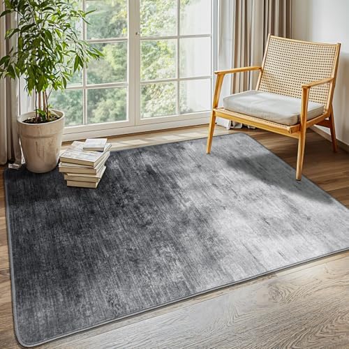 3x5 Washable Area Rug by LIANLAM