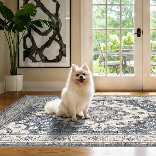 Washable 3x4 Entryway Area Rug: Non-Slip Stain Resistant Floor Mat Light Weight - Image 2