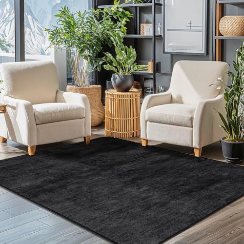 4x6 Washable Area Rug by LIANLAM