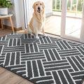 OLANLY Indoor Door Mat 48x32, Low-Profile Dirt Resistant Doormat by OLANLY