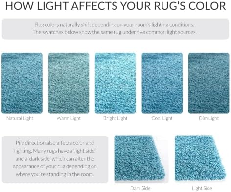 SAFAVIEH California Shag Collection Accent Rug - Image 3