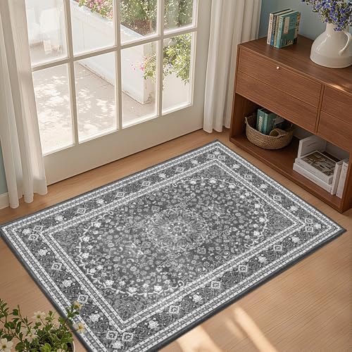 Lessymo 2 x 3 Entryway Rug, Machine Washable Boho Indoor Mat by Lessymo