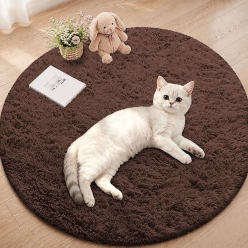 Smiry Round Area Rugs for Living Room Bedroom 2x2 ft, Fluffy Carpet by Smiry