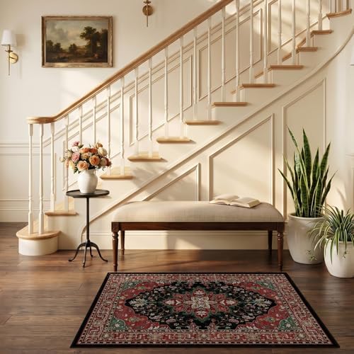 RELEANY Washable Area Rug, Small 2'6"x4' - Image 2