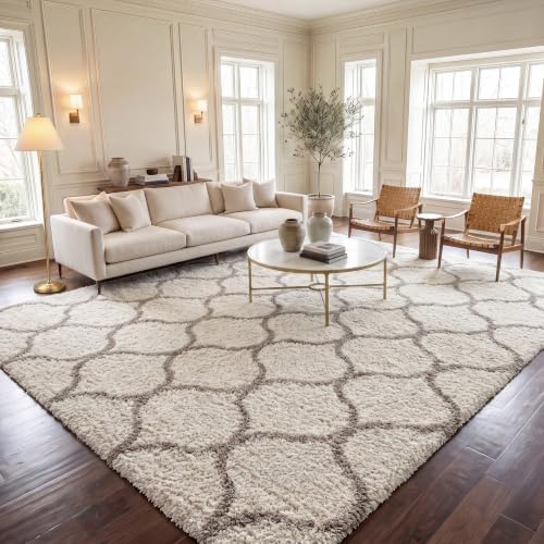 SAFAVIEH Hudson Shag Rug 10'x14', Soft Plush Modern Ivory & Beige SGH280D by Unknown